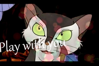Felidae AMV Id Engager