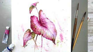 Watercolor Painting - Caladium Bonsal - Elephant Ear- Heart of Jesus-Tutorial Step by Step