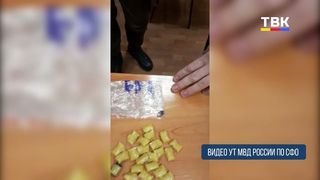 В Бердске задержали «закладчиков» с 27 дозами наркотиков