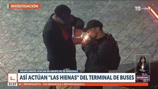 Hienas al ataque: Los ladrones del terminal