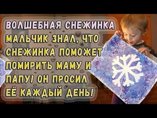 Волшебная снежинка - Дима верил, что волшебная снежинка поможет помирить папу и маму