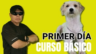 Primer da curso Bsico | ADIESTRAMIENTO CANINO