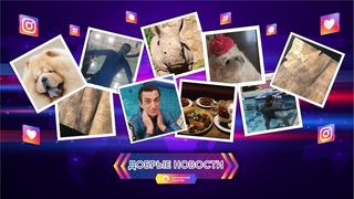 Добрые новости. Выпуск 19