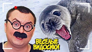 ВЕСЕЛЫЕ ВИДОСИКИ! 8 МИНУТ СМЕХА (6 выпуск)