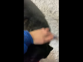 Video by Yulia Kunka