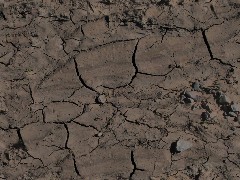 PBR Ground Soil A274