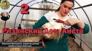 Передача аистов из реабилитационного центра Феникс в Рязанский Дом Аиста - Выпуск 2