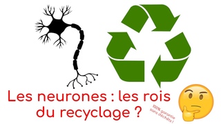 L’autophagie : le système de nettoyage des neurones ! | LDDC#7