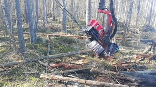 KOMATSU 931xc  895 Начинаем болото!  Часть1
