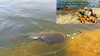 Fish hunting|| Amazing Big Rohu Fish catching|| Unique catchases ||Manching Fishing||Hock Fishing.
