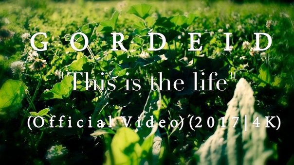 G O R D E I D This Is The Life ( Official Music Video) ( New