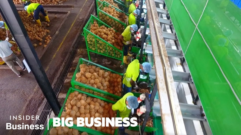 How Sri Lanka Helps Feed The World s Coconut Obsession, Big