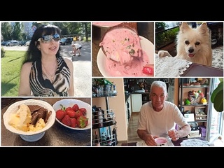 Латвия /Холодный Суп /На Собаку Напала Кошка / Ruta Vlog Рига  @Хозяюшка Рута @Ruta Lutkevica