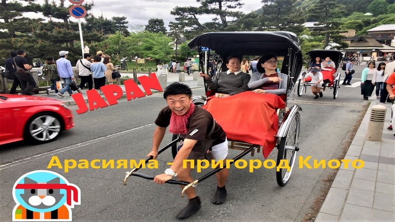 Япония окраина Киото Арасияма, Арашияма. Бамбуковая роща