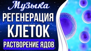 🔵Медитация - Регенерация Клеток и Растворение Ядов | Омоложение и Оздоровление Организма