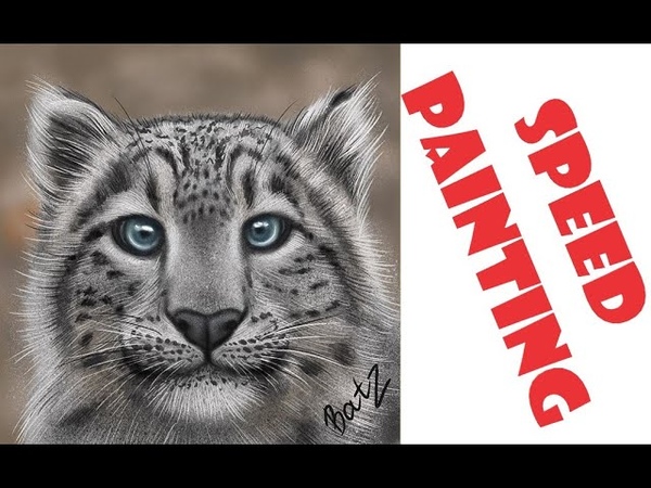 Рисуем снежного кота в Procreate, Speed painting: Snow