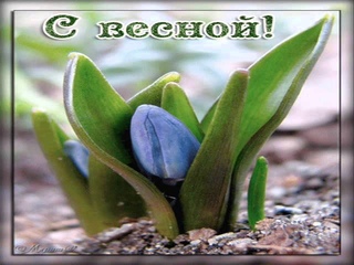 С первым днем весны,всех я поздравляю!!!