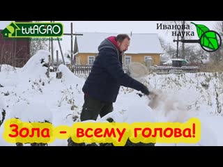 З ГЛАВНЫХ ВОПРОСА ОБ ИСПОЛЬЗОВАНИИ ЗОЛЫ: когда вносить, что можно жечь и гасить или не гасить