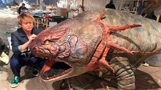 Самые Жуткие Существа, Поиманные Рыбаками