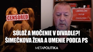 Ďalší škandál! SÚLOŽ A MOČENIE V DIVADLE?! Šimečkova žena a umenie podľa PS/ komentuje Ľubo Huďo