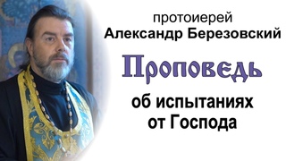 Проповедь об испытаниях от Господа (). Протоиерей Александр Березовский