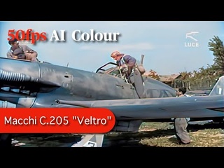 Macchi  “Veltro“ footage - Regia Aeronautica & ANR in world war two [AI, 60fps, Colourized]