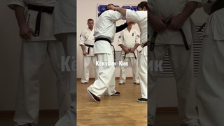 Кёкусин-Кик под руководством Сихана Станислава Винокурова (24). Куда колено, туда и рука - сила!