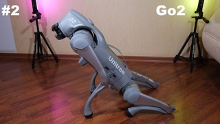 #2 Первые шаги робота собаки Go2