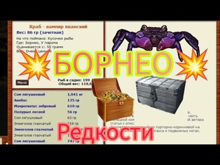 Русская Рыбалка  Полное прохождение Квеста Борнейские Редкости База Борнео