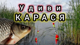 Эта НАСАДКА удивит любого КАРАСЯ, КАРПА, ПЛОТВУ И ЛЕЩА!!! ДЕЛАЙ НЕМЕДЛЕННО!