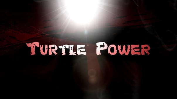 Teenage Mutant Ninja Turtles Turtle Power