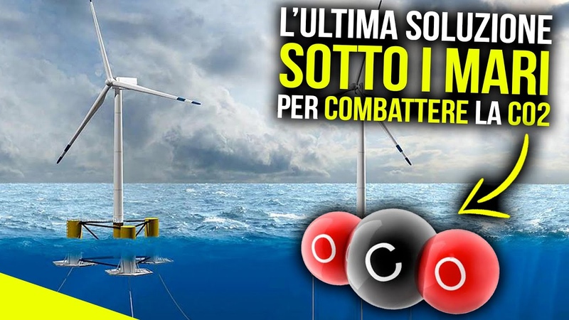 LULTIMA SOLUZIONE di AMAZON per COMBATTERE la CO2: Può davvero