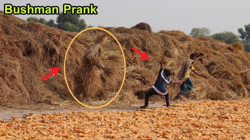BEST OF Fails BUSHMAN Prank Compilation 2022, Fainted Reaction Real Funniest