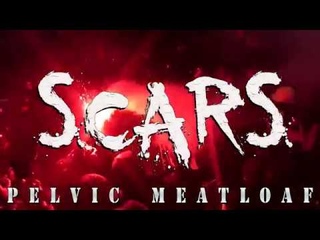 Pelvic Meatloaf - Scars