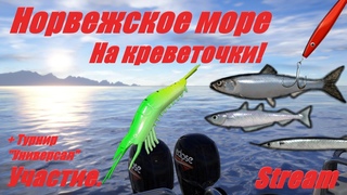 Русская Рыбалка 4 - Норвежское море. Рыбалка на креветочки! + Подготовка к турниру Универсал!