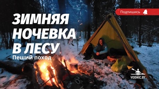 ЗИМНЯЯ НОЧЕВКА в лесу в шалаше. Пеший поход на два дня. Экстремальное путешествие!
