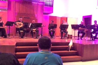 A Cat Wanders Onstage During a Folk Concert