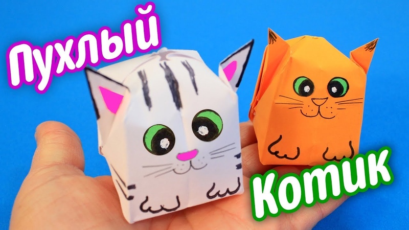 Пухлые животные Котик из
