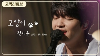 정세운 – 고양이 (원곡: 선우정아 SWJA) / Jeong Sewoon - C A T 《고막메이트/고막라이브》