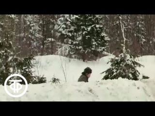 Происшествие (1974)