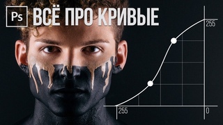 СТАНЬ МАСТЕРОМ КРИВЫХ в Фотошопе за 15 МИНУТ!