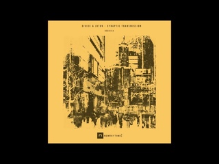 Divide & Joton - Cytoplasm