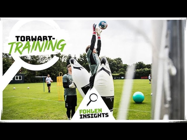 Torwarttraining , Fohlen Insights