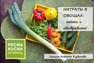 Нитраты в овощах: найти и обезвредить!