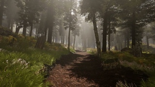 Unreal Engine - forest real-time environment art