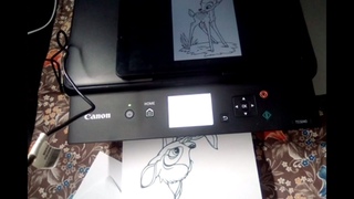 Canon ts 5040. Печать с планшета, телефона по Wi Fi сети.
