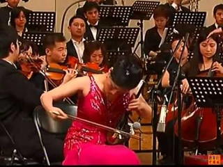 中国民乐好声音 -   完整版二胡独奏  梁祝