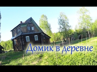 Купил дом в деревне.