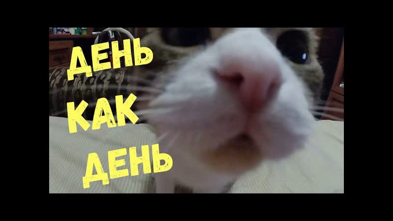 Крайняя ПРИВИВКА