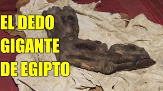 La reliquia de Bir Hooker - El dedo gigante de Egipto - Criptozoologa - Mitologa
